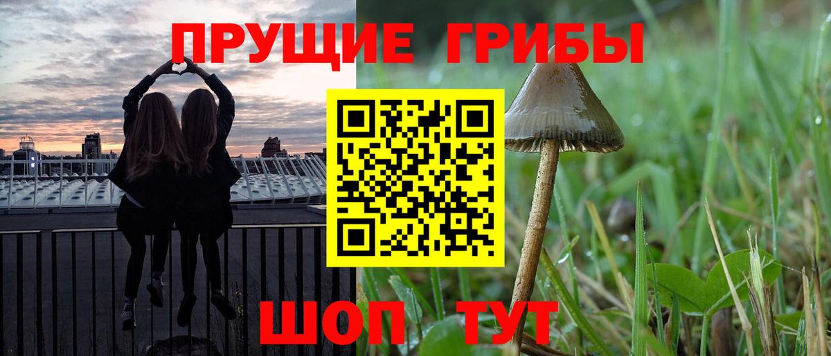 Галлюциногенные грибы прущие грибы Владимир