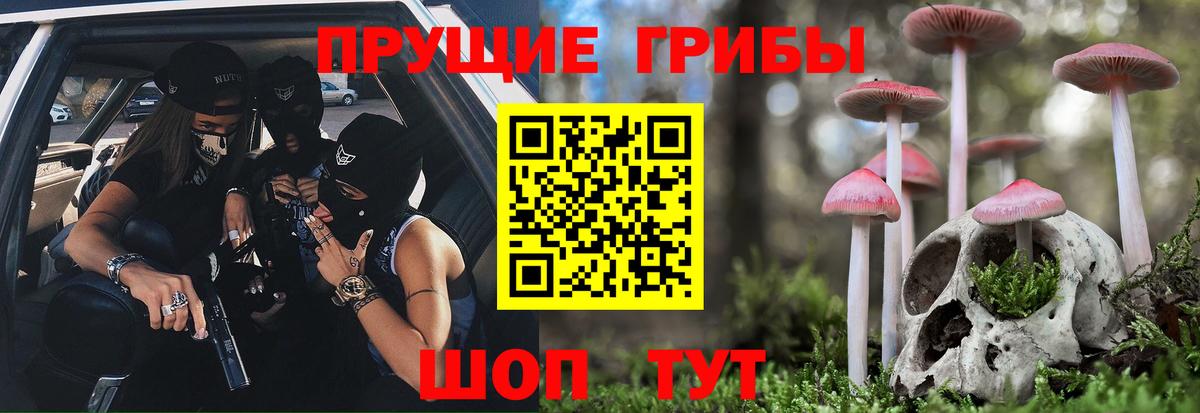 Владимир  дарнет шоп  Вход с VPN  Галлюциногенные грибы Psilocybine cubensis 