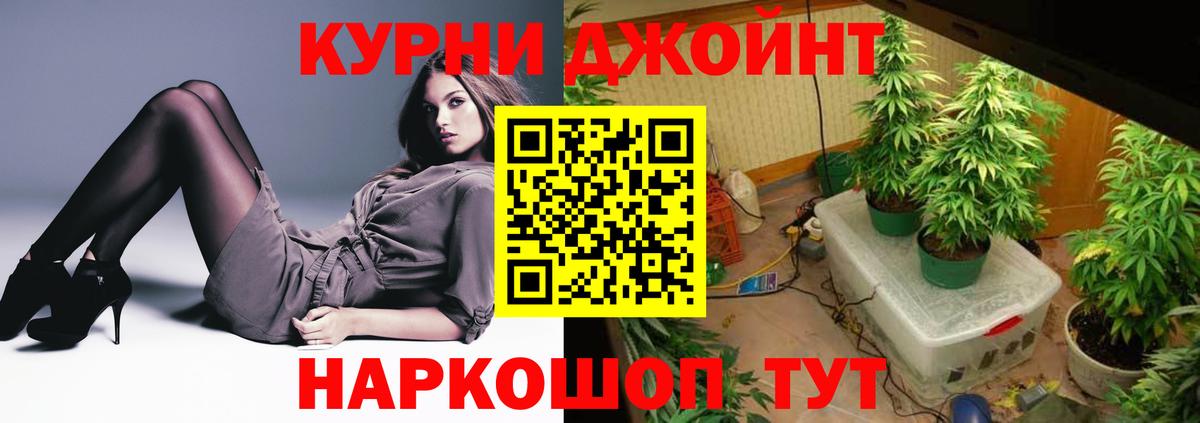 Владимир  Каннабис AK-47  Бошки Шишки ГИДРОПОН  Вход с VPN  Каннабис THC 21% 